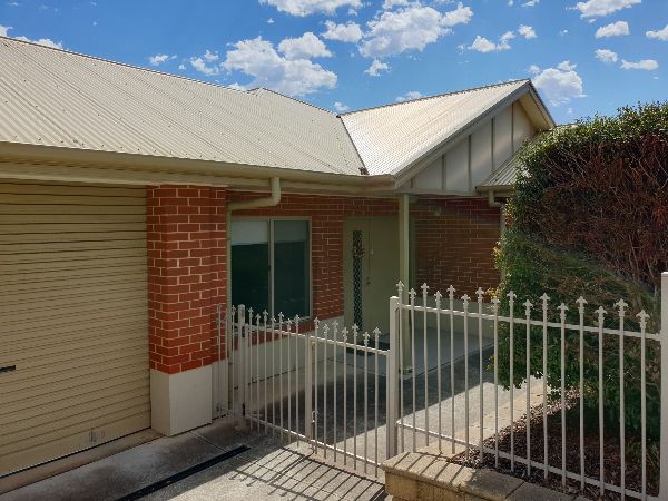 5 Brolga   Front yard (1)