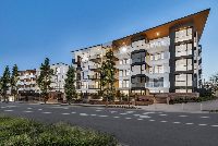 S O SL Dutton Park