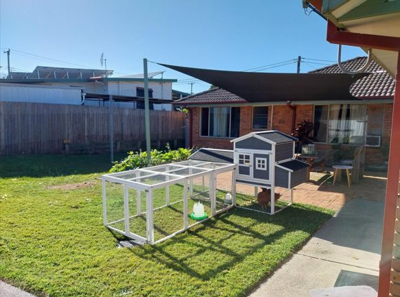 Gateshead   Back Yard 2