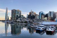 DSC2305