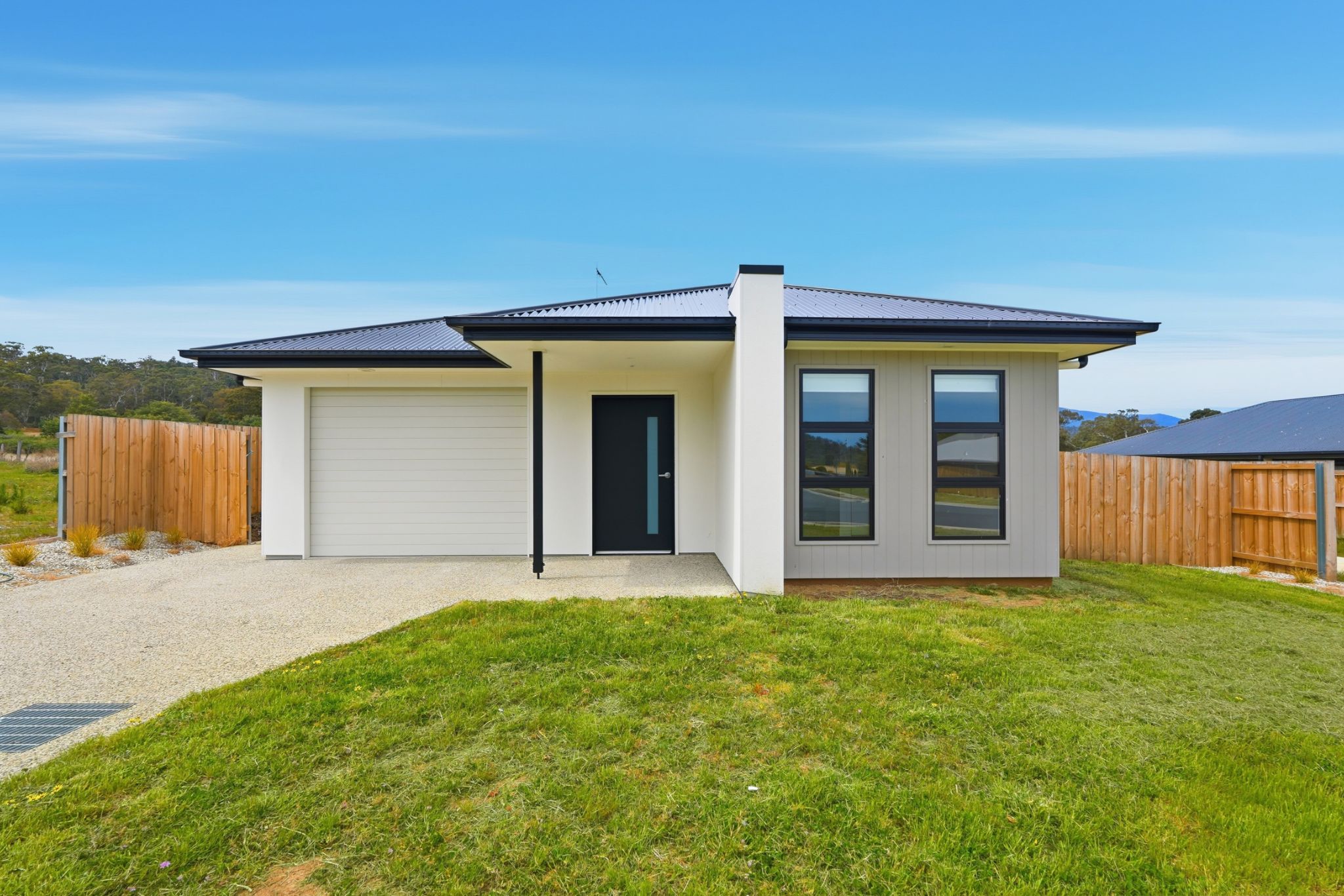 NC 24BluetongueDr_33