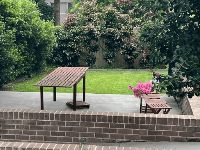 Supported Independent Living   West Pennant Hills 1 (16101) Image 16 Backyard