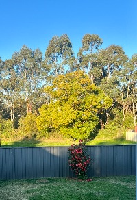 2A17E3B4 2B46-4814-9485-573B41724E8D