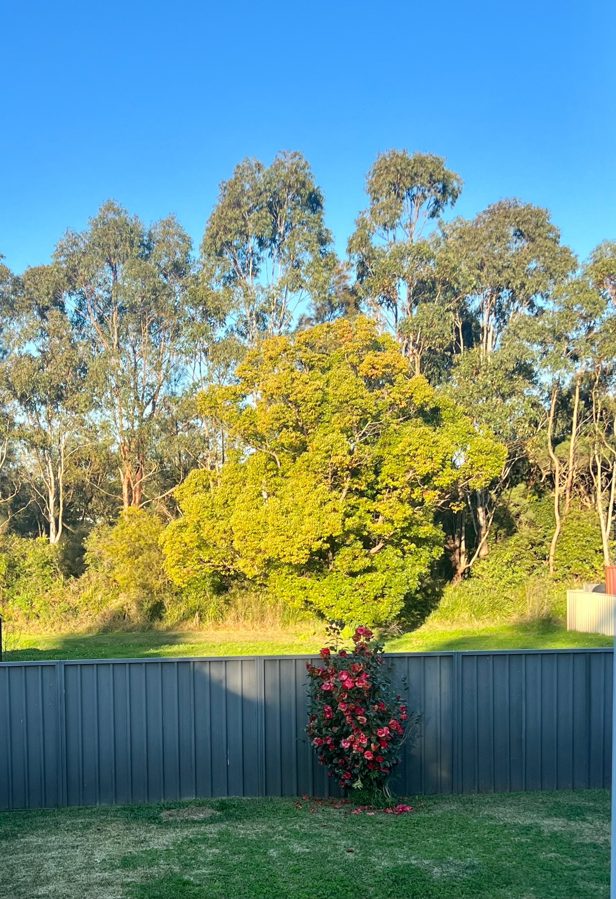 2A17E3B4 2B46-4814-9485-573B41724E8D