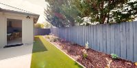 17 Backyard2
