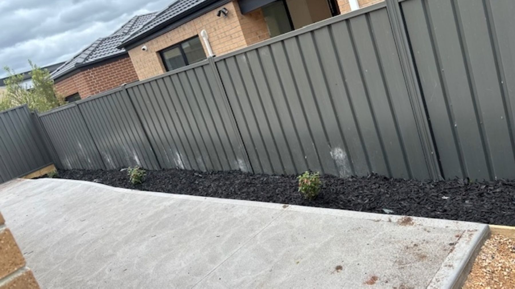 Adobe Express   file (58)