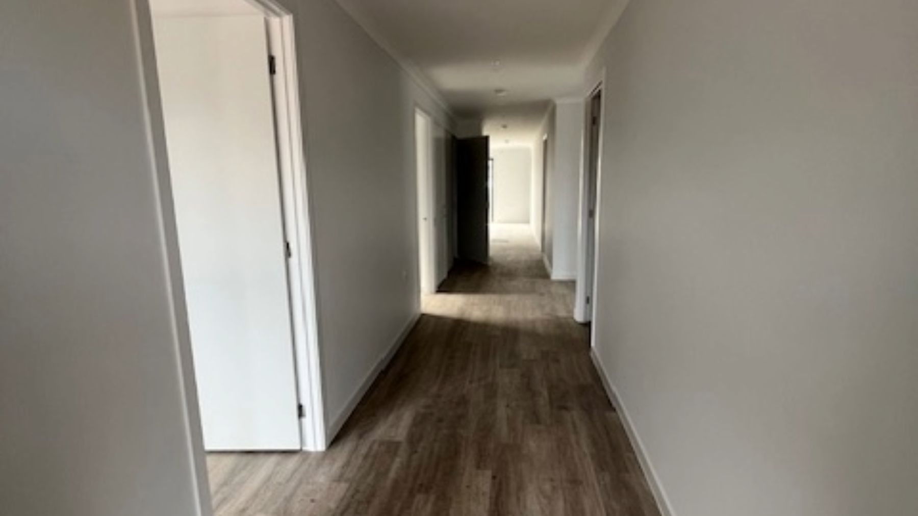 Adobe Express   file (56)