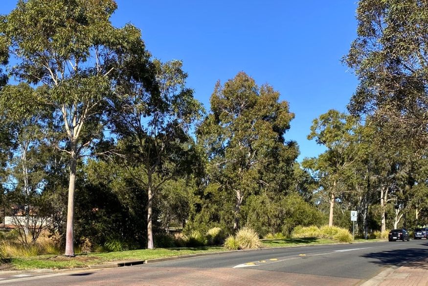Smithfield   street view