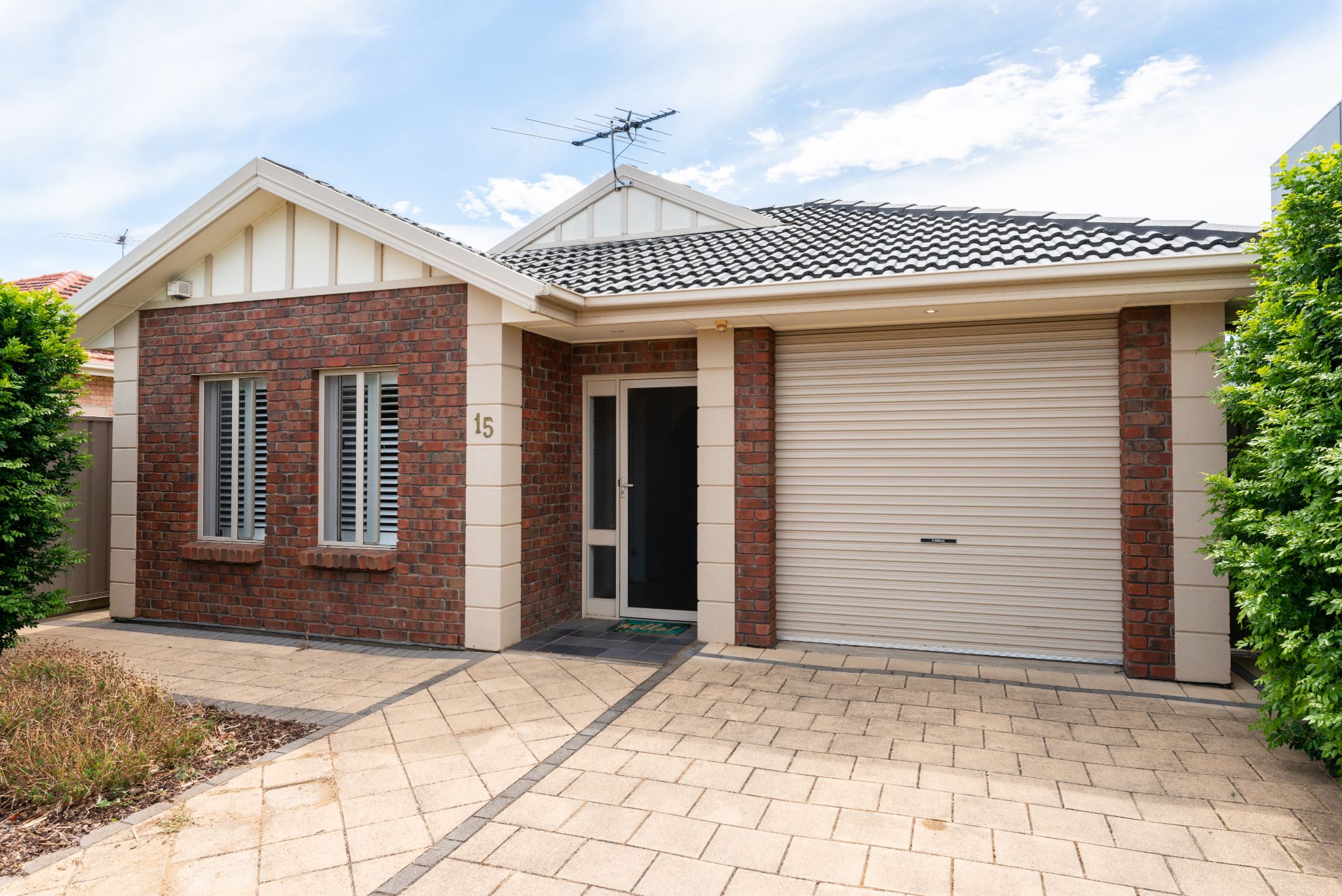 AA Jeremie Moroney_29