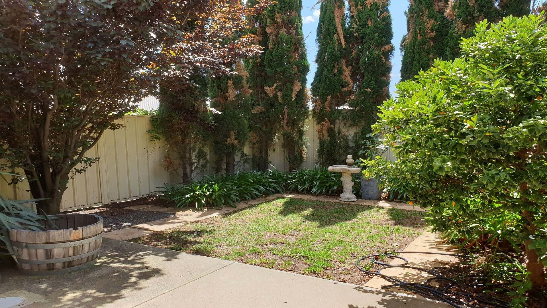 3 Cygnet   Rear yard (3)