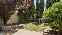 3 Cygnet   Rear yard (3)
