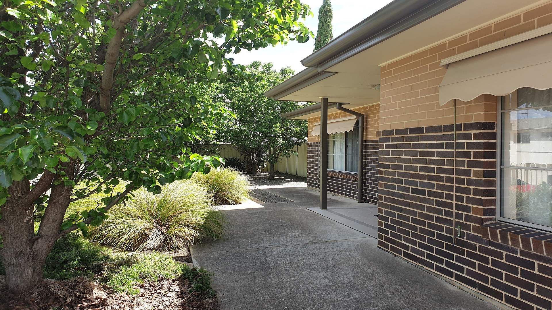 3 Cygnet   Front yard