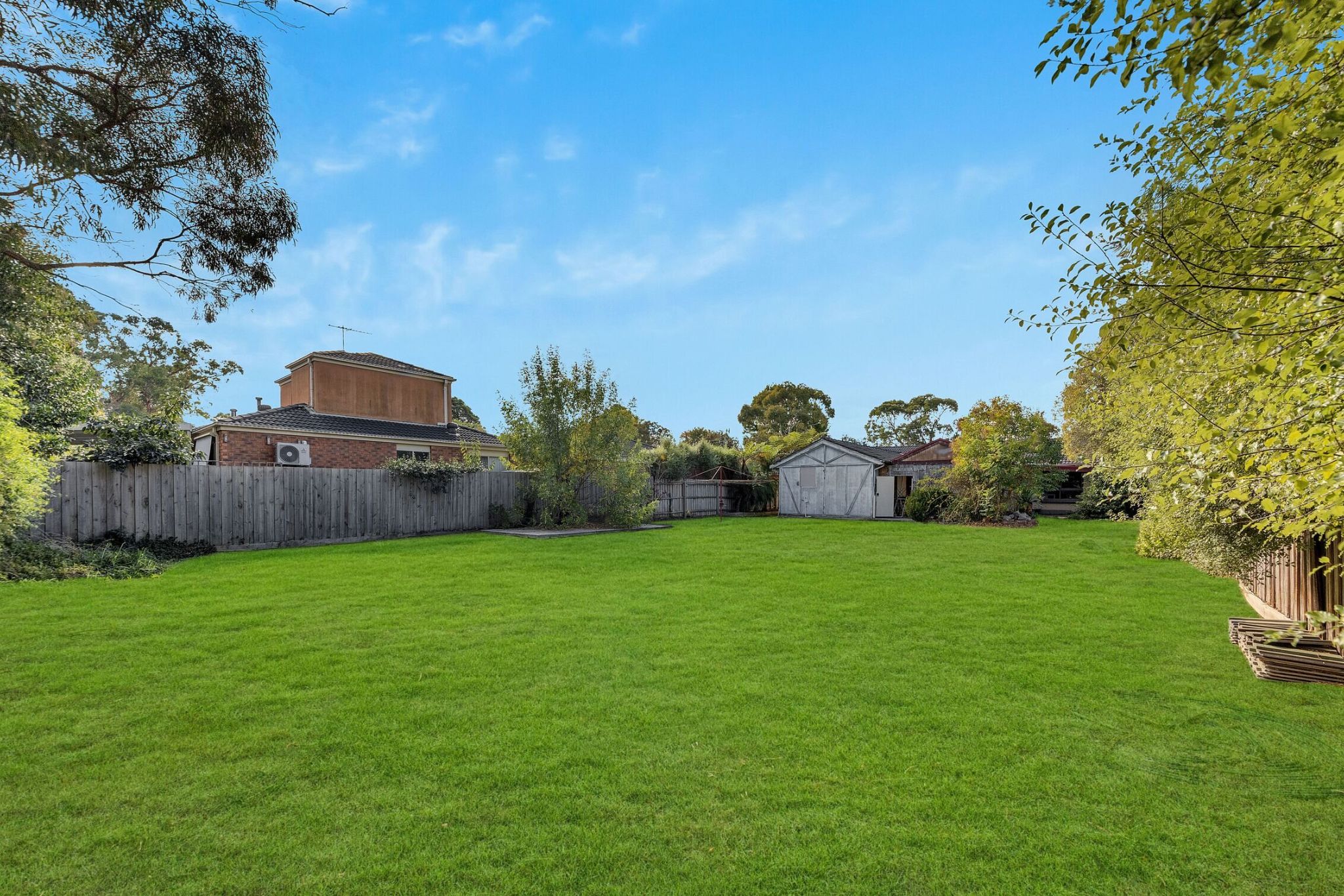 IMG 6912-min_optimized_1000