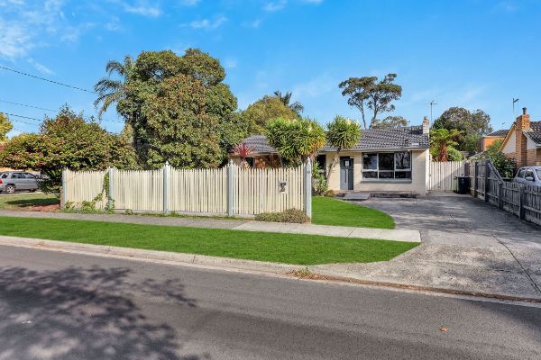 COVER PHOTO_-_IMG_7002G-min_optimized_1000