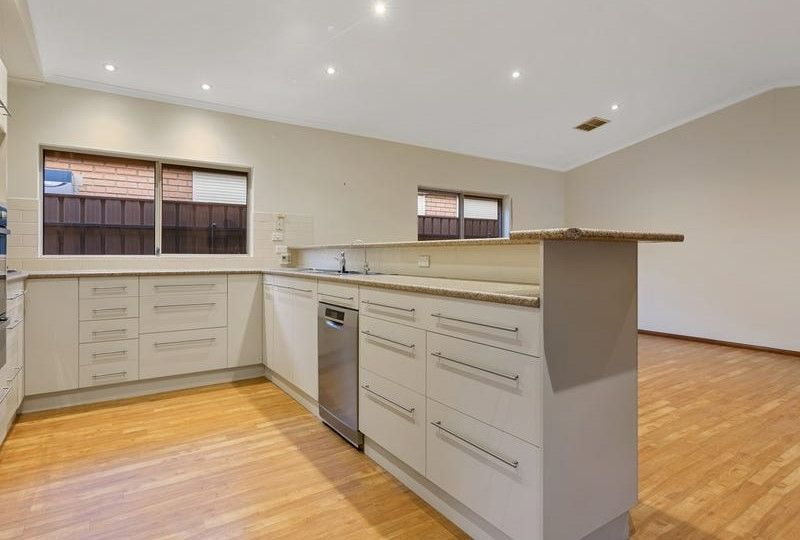 Kitchen Clovelly Park