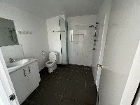 IMG 3781