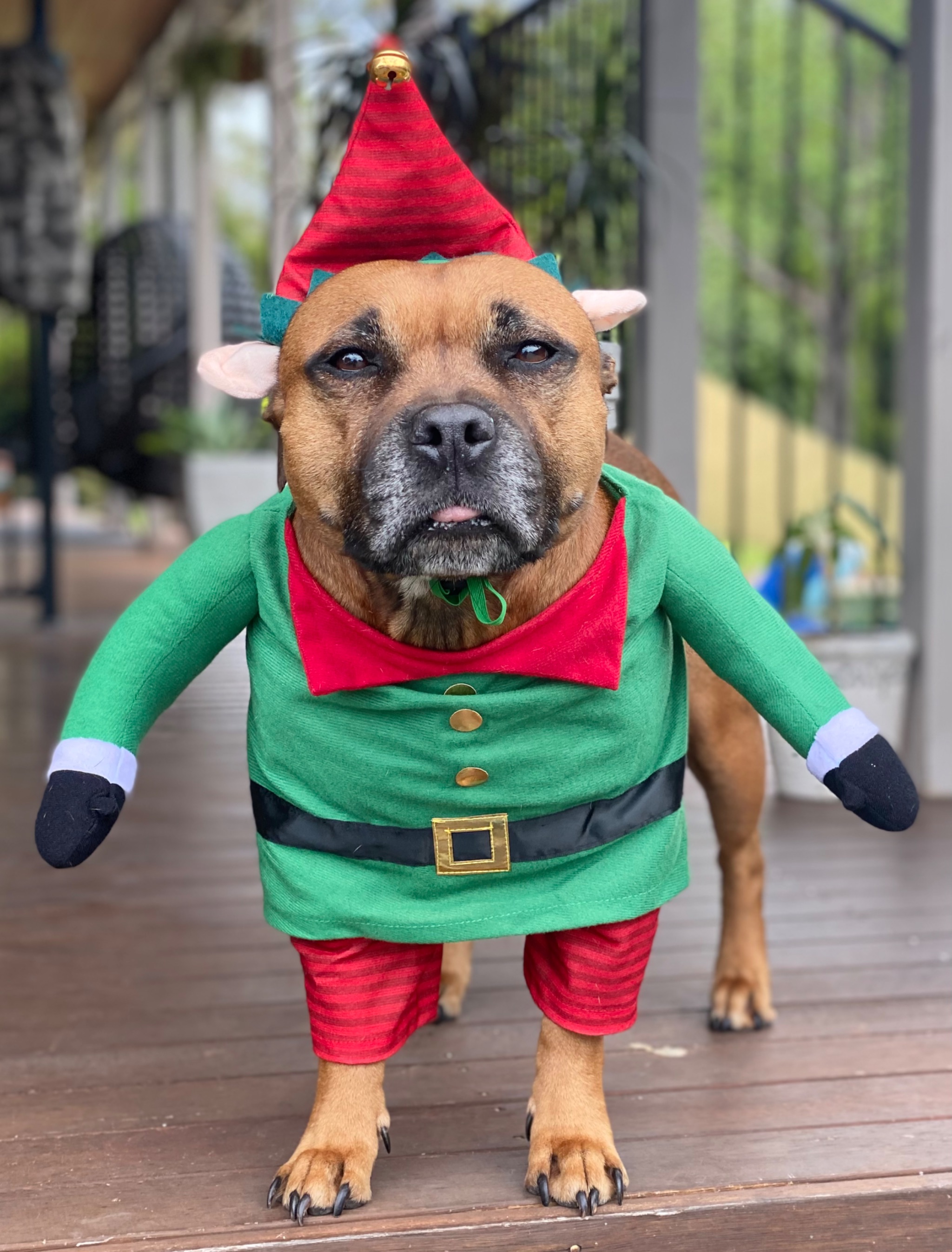 2E4DEA73 223F-4768-B97B-E83C878D761E