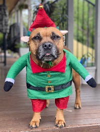 2E4DEA73 223F-4768-B97B-E83C878D761E