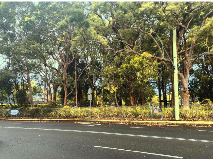 Park