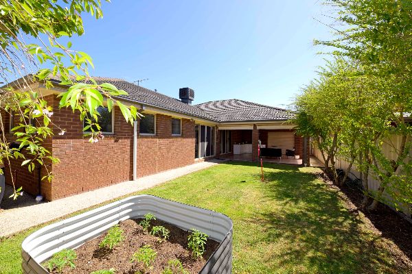 Sunnypine1540327C Cairnlea