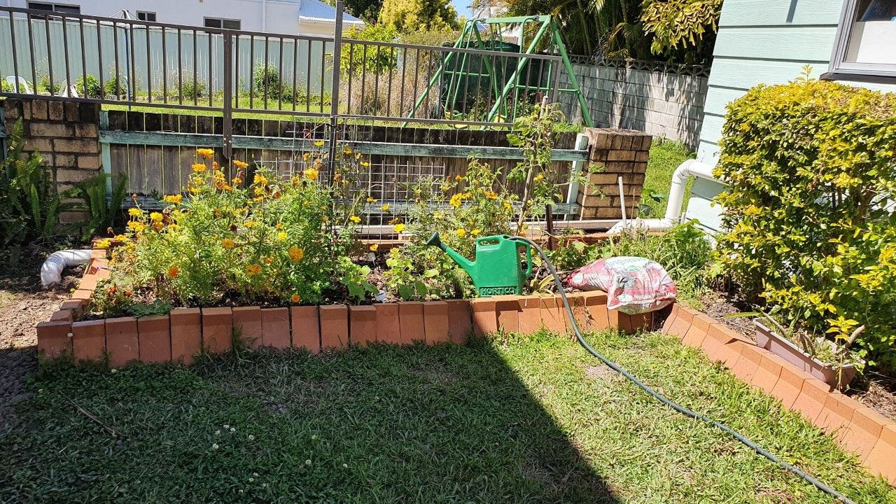 garden