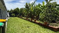IMG 0983