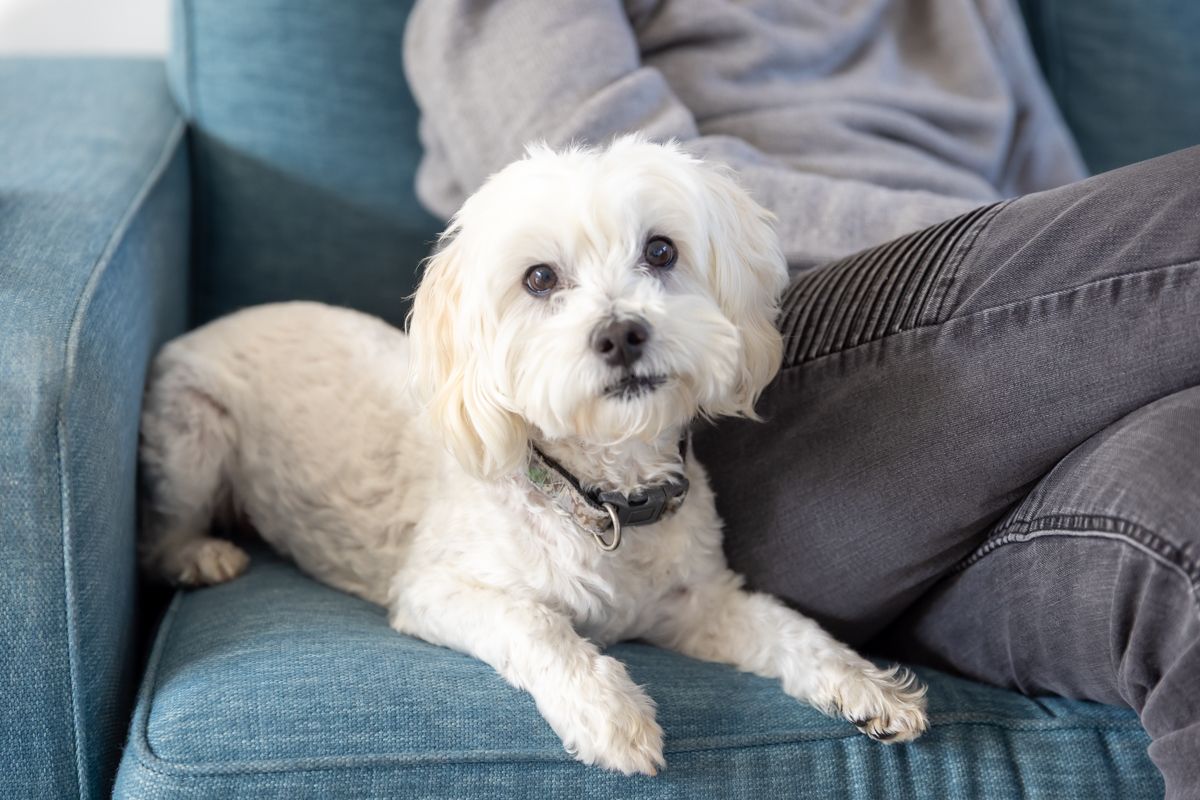 McCall Services_041_email