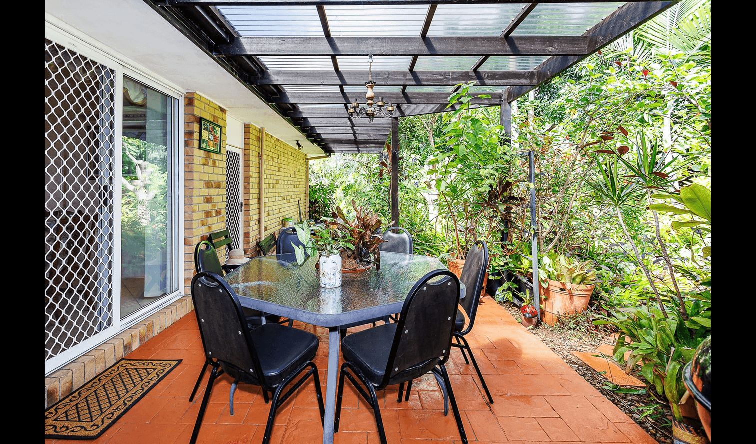 Backyard 2