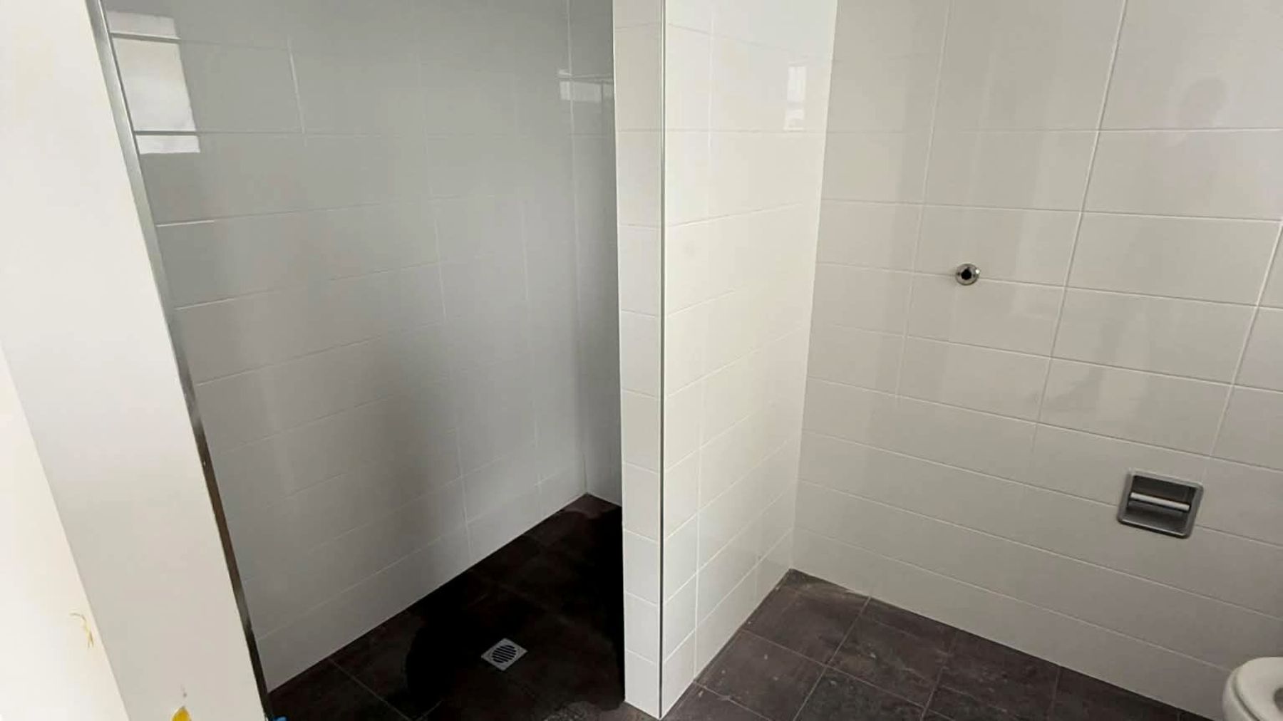 Adobe Express   file (87)