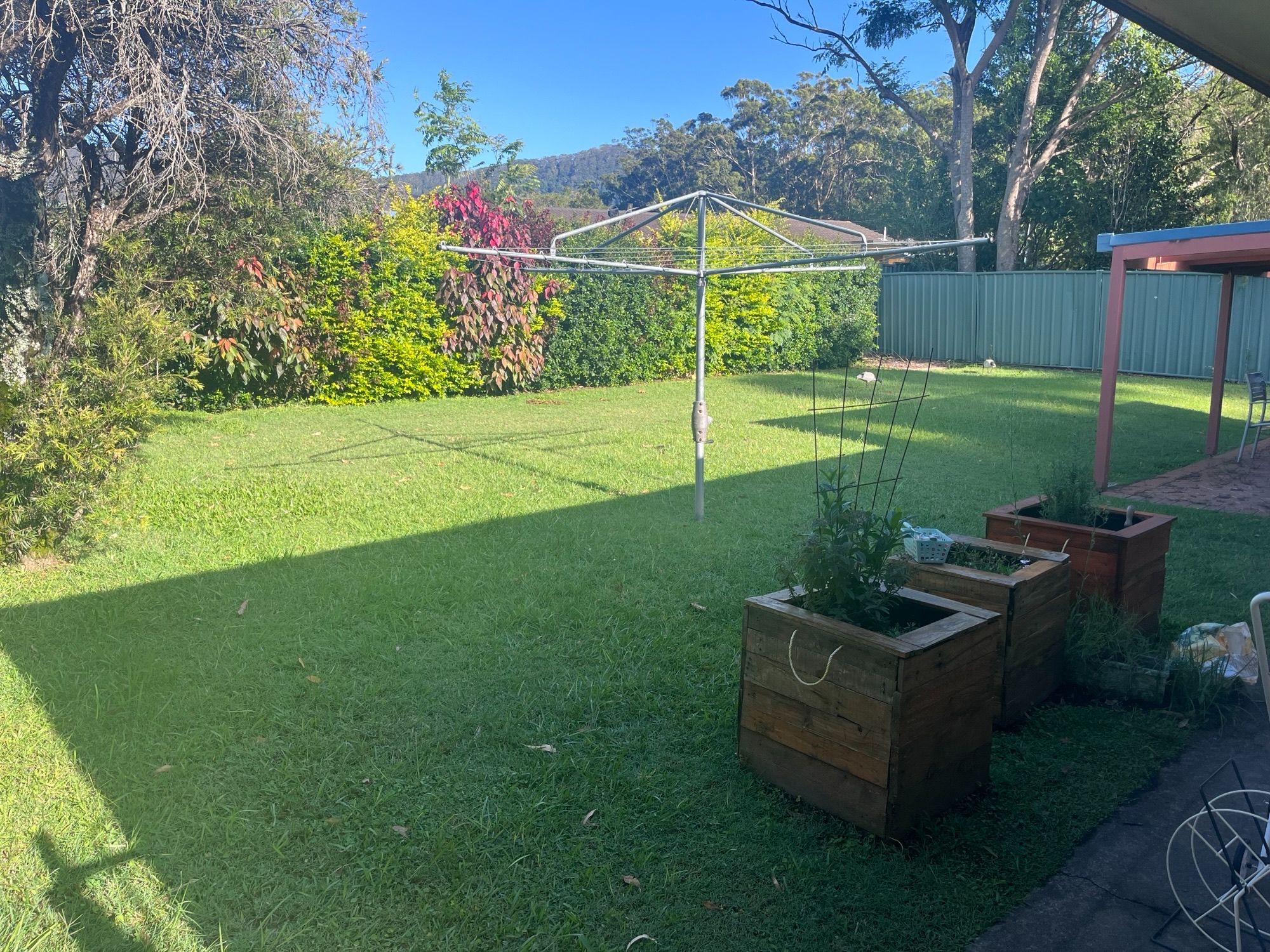 Back Yard