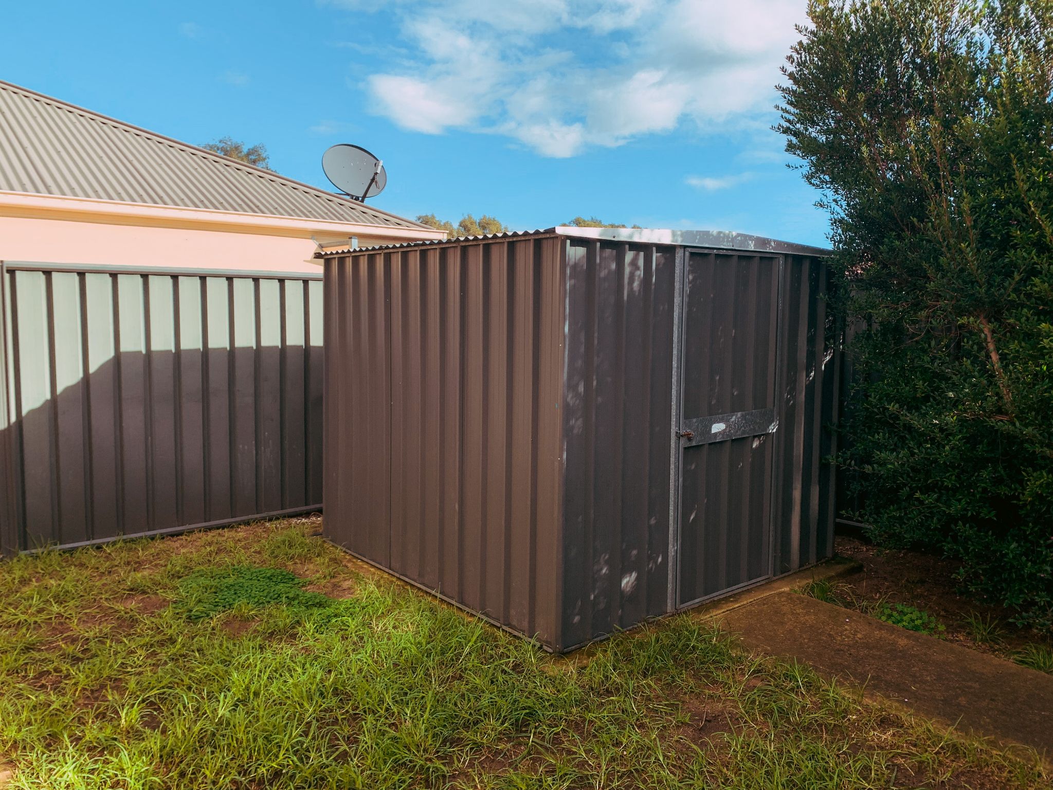 Backyard Shed