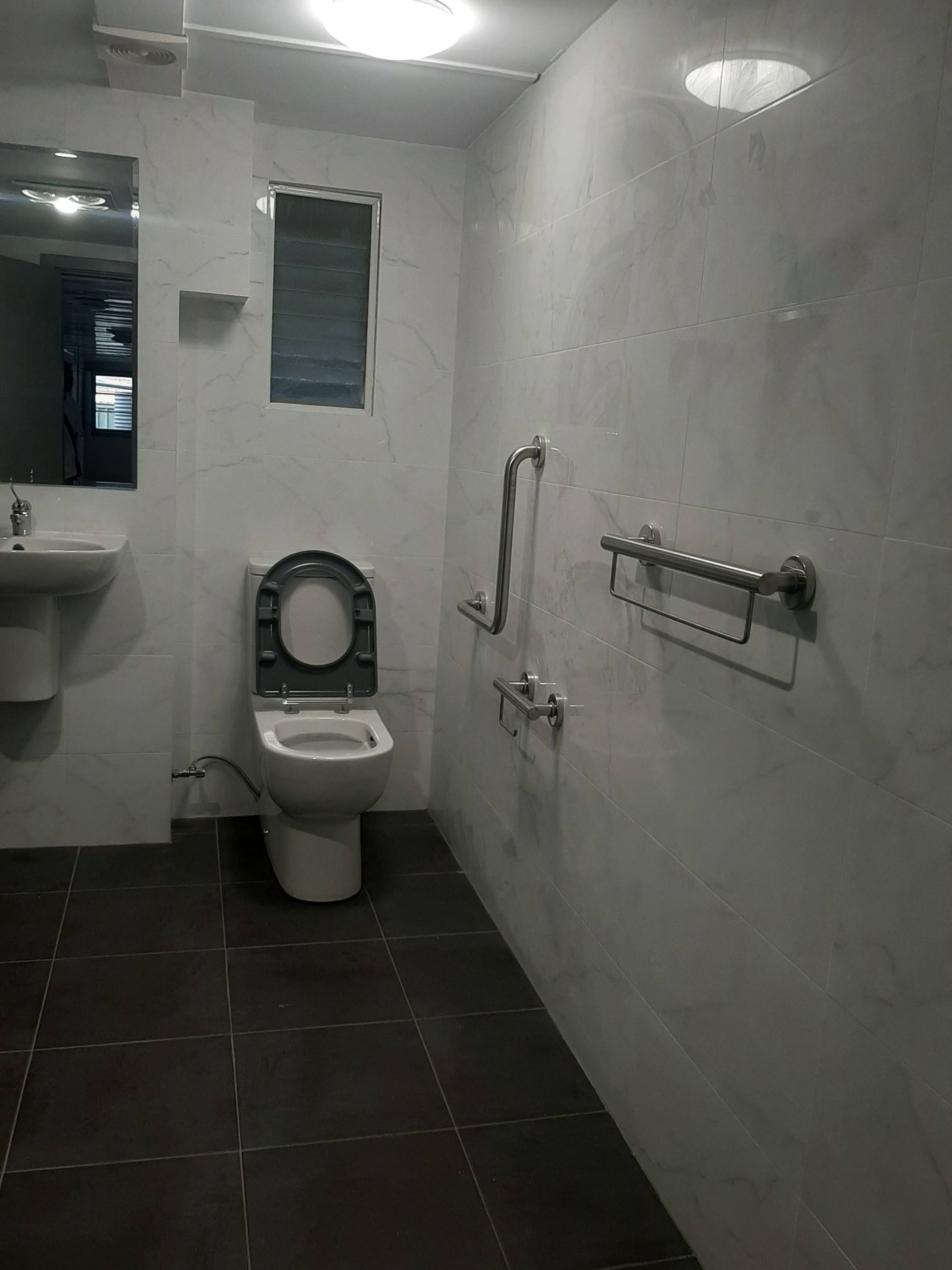 Fully Accessible Bathroom 2