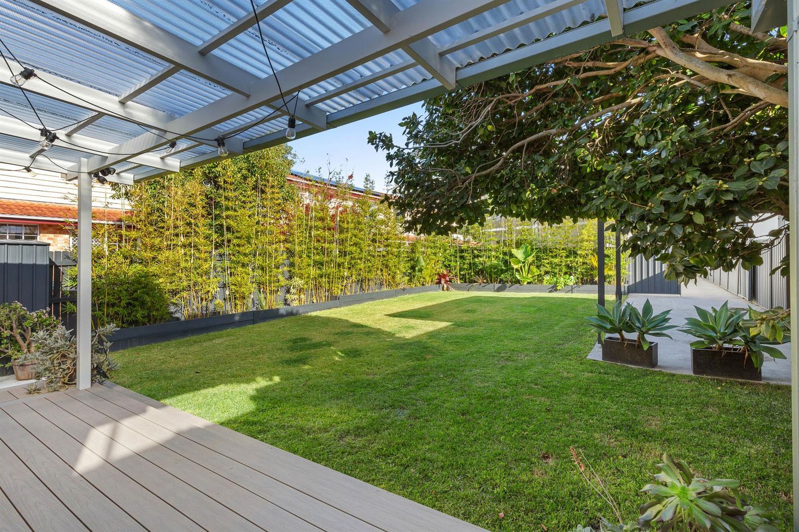 17064491 5_1_240614_061210-w1920-h1279