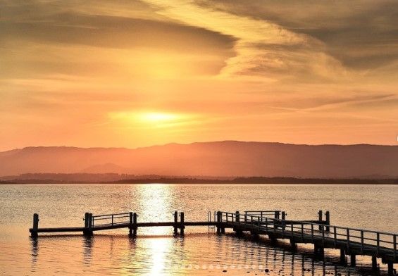 Lake Illawarra