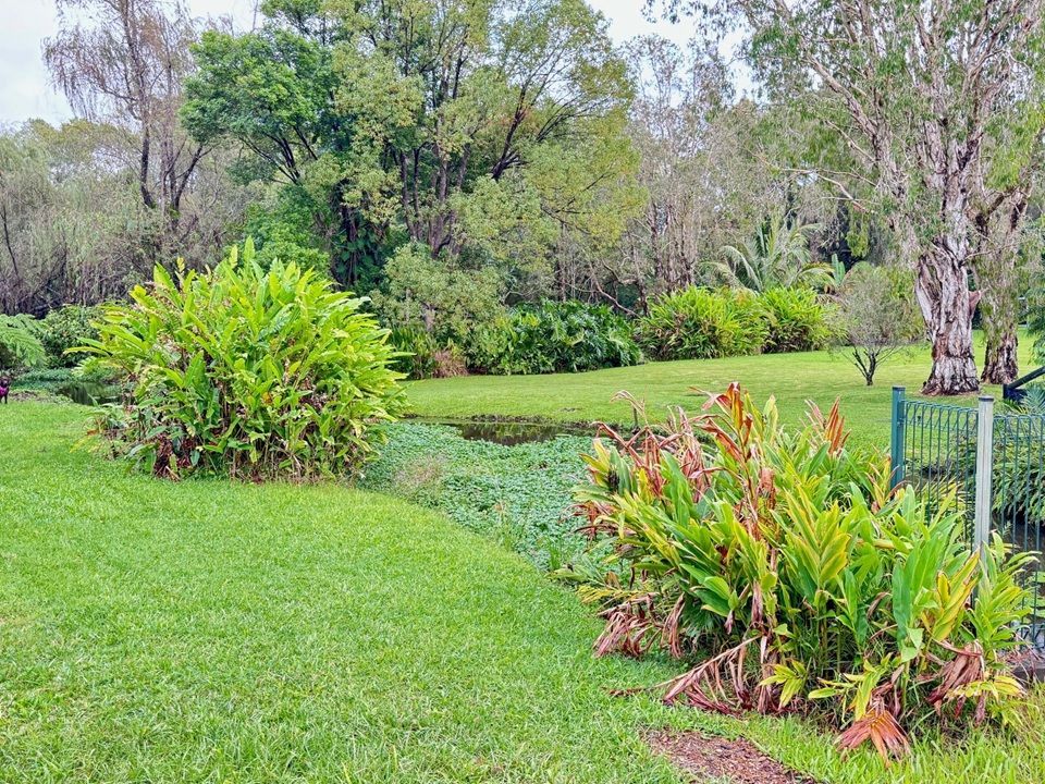 Pond view from the front of house