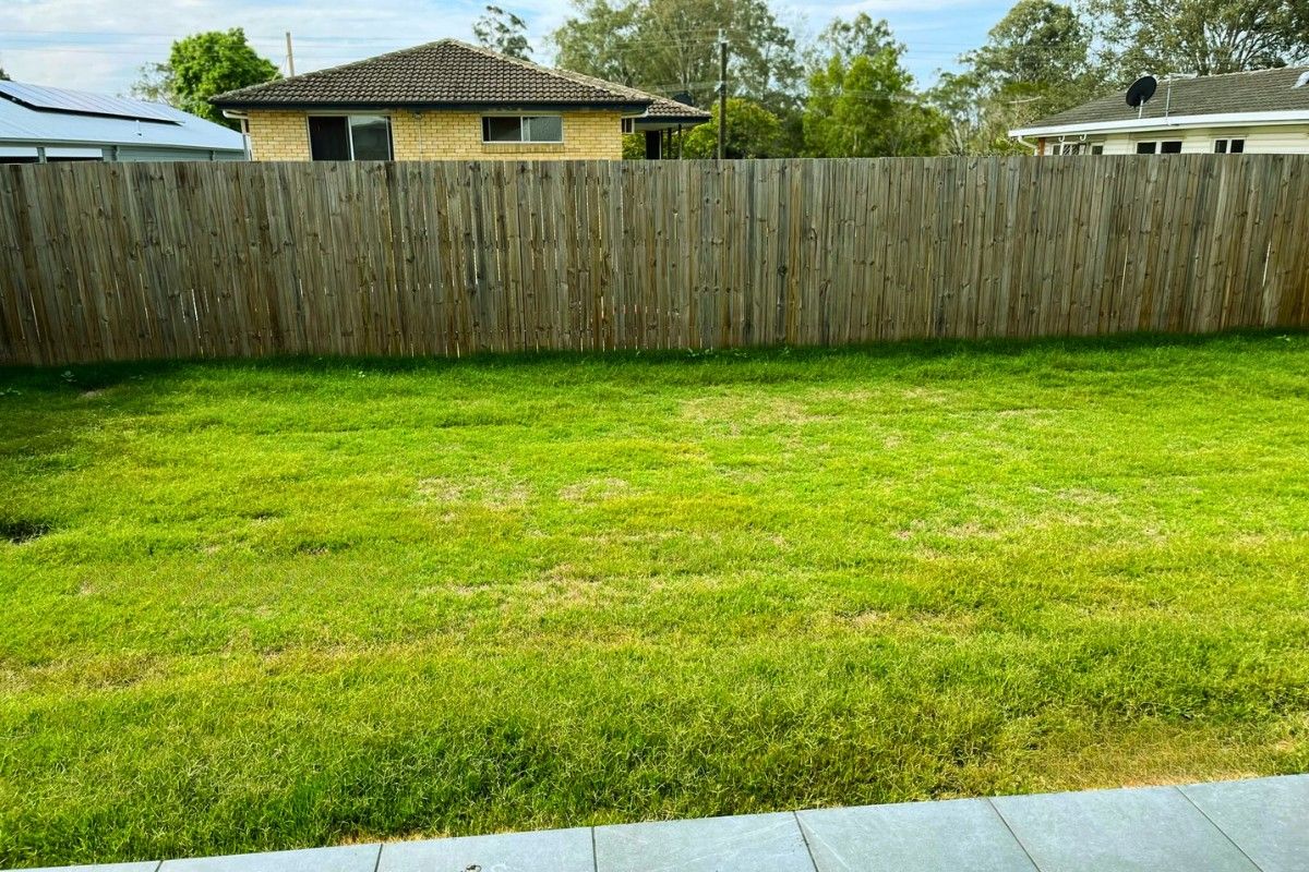 backyard lawnton_SDA