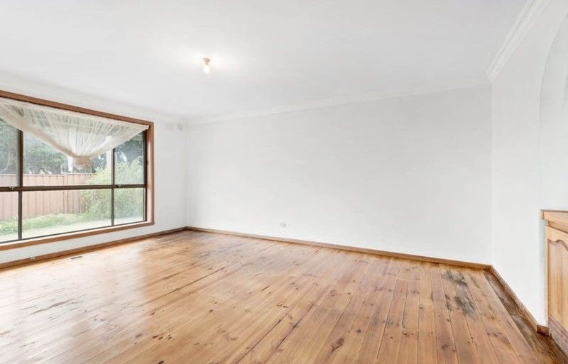 wmremove transformed (34)