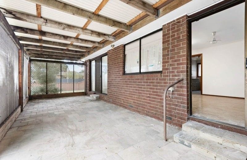 wmremove transformed (35)