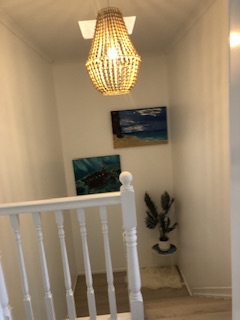 IMG 1982