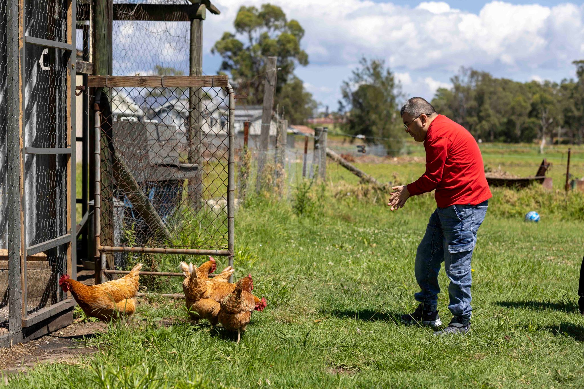 All Disability Services   Chicken Feeding-3