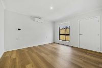 large thumbnail_Petunia 3