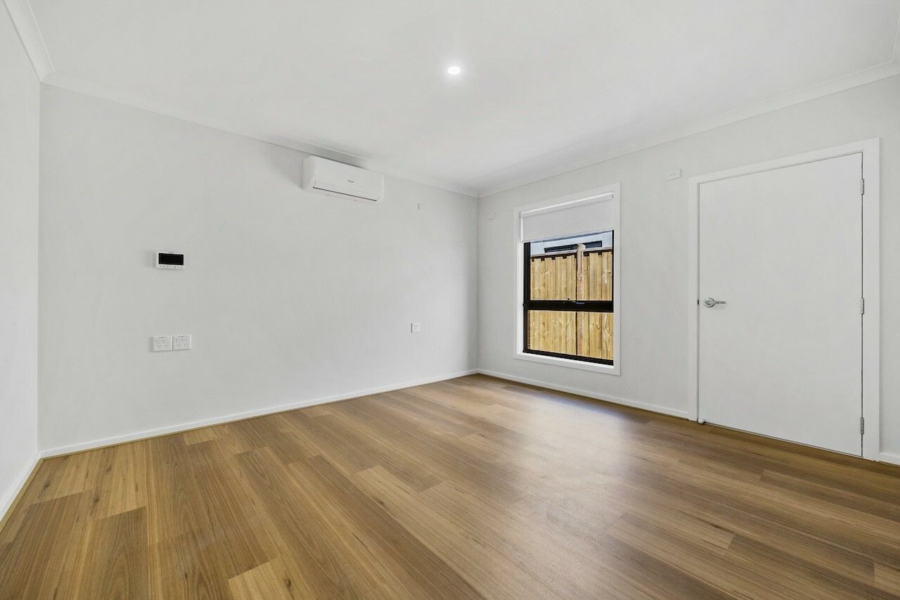 large thumbnail_Petunia 3