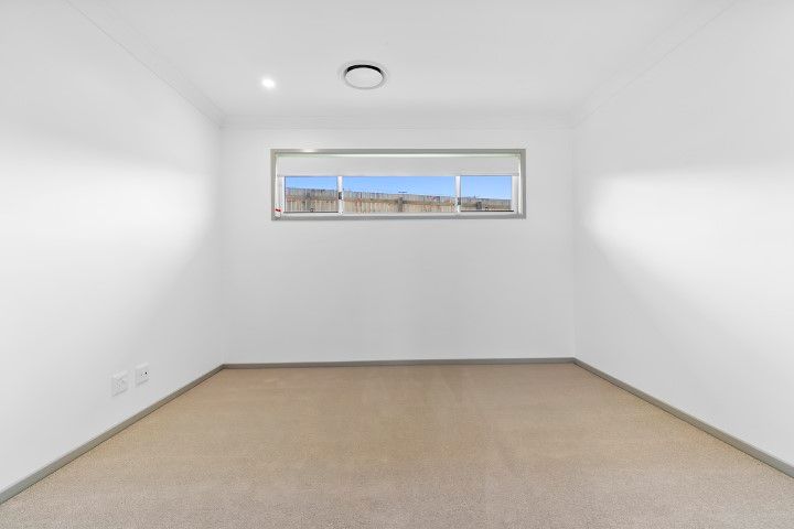 PROFESSIONAL PHOTO   LOW RES 13