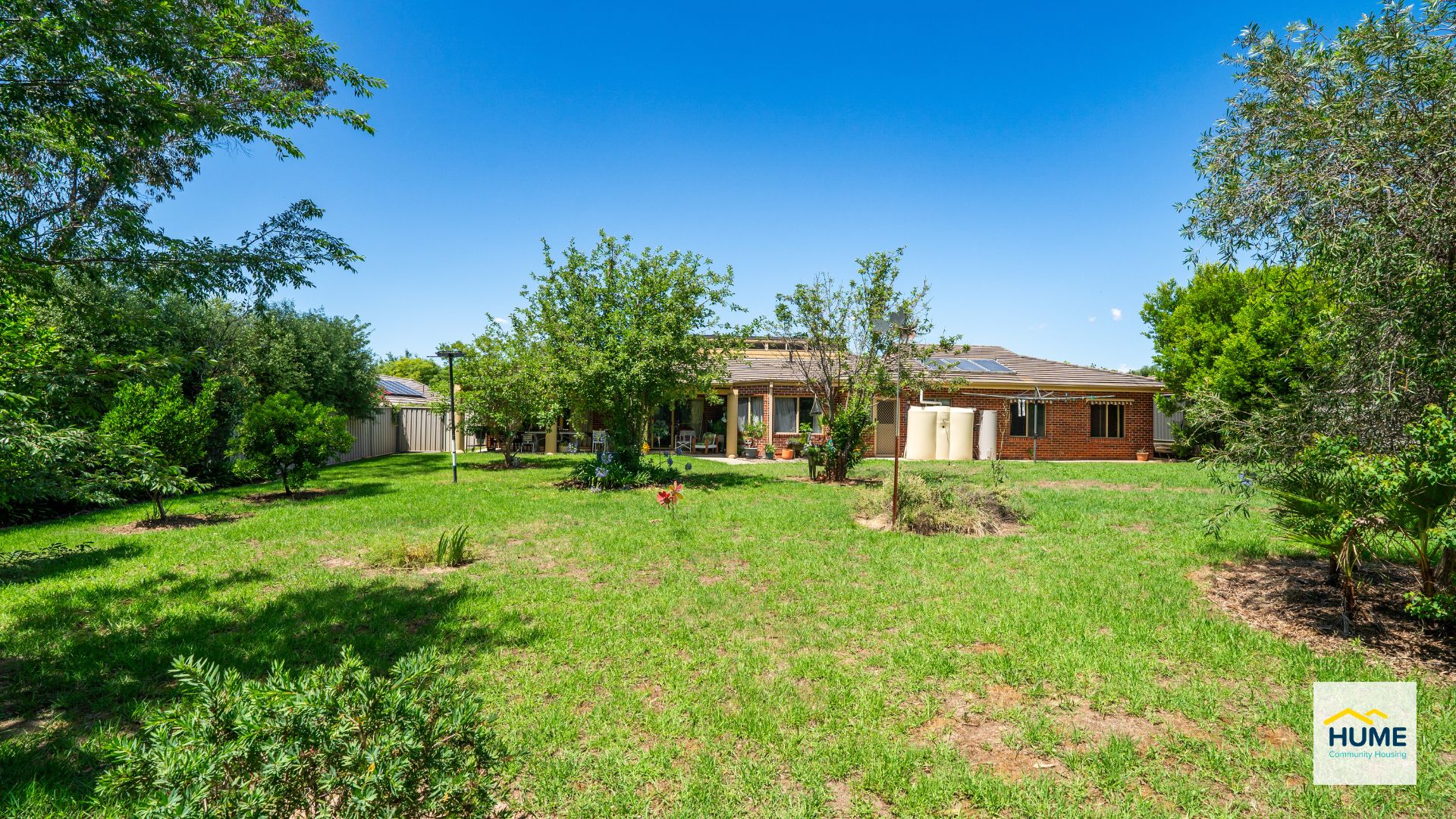 Thurgoona backyard 2