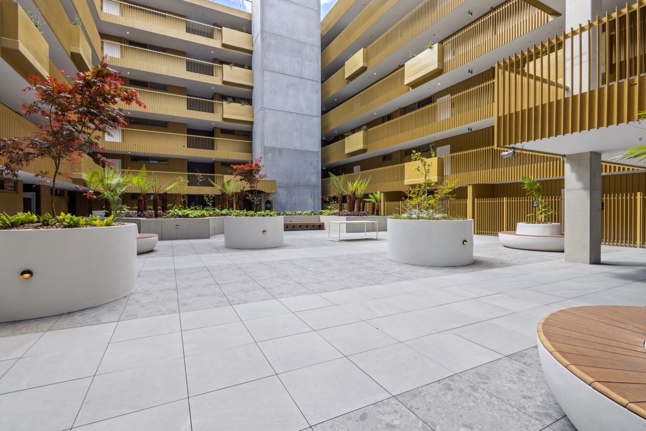 Vera Canberra_6438 Large