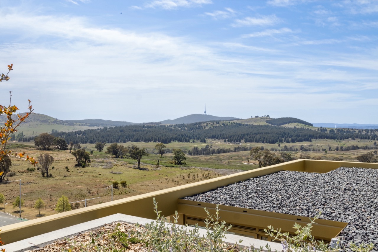 Vera Canberra_6374 Large