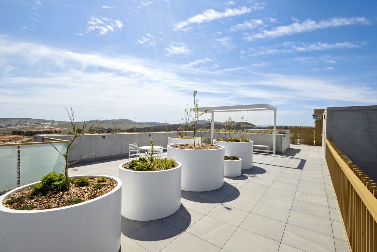 Vera Canberra_6358 Large