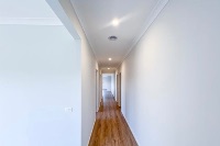 IMG 0349