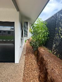 WhatsApp Image 2024 11-18 at 15.29.04