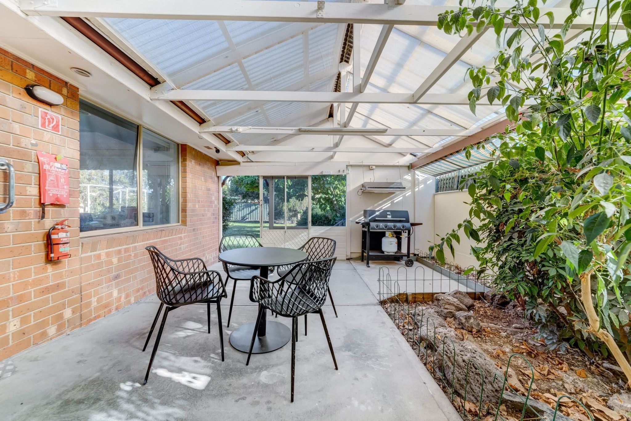 IMG 7615-min_optimized_1000